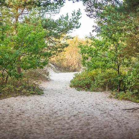 Housea Wakacyjne בית נופש