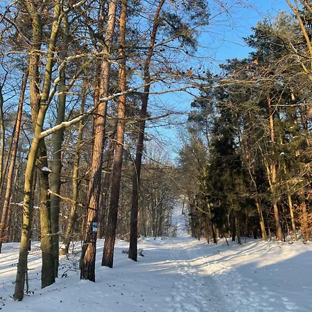 Housea Wakacyjne * ג'אנטאר