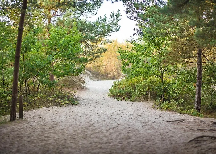 Housea Wakacyjne בית נופש