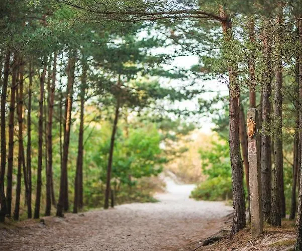 Housea Wakacyjne * ג'אנטאר