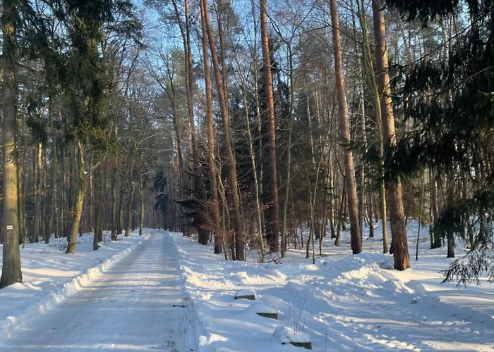 Housea Wakacyjne Jantar