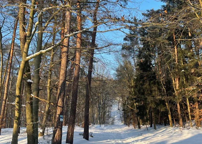 Housea Wakacyjne * Jantar